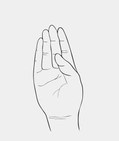 Sign Language - B