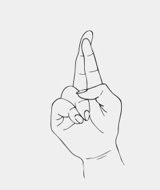 Sign Language - R